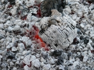 P1190405